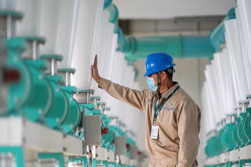 益海嘉里金龍魚 疫情之下穩(wěn)舵前行，持續(xù)加碼中國市場